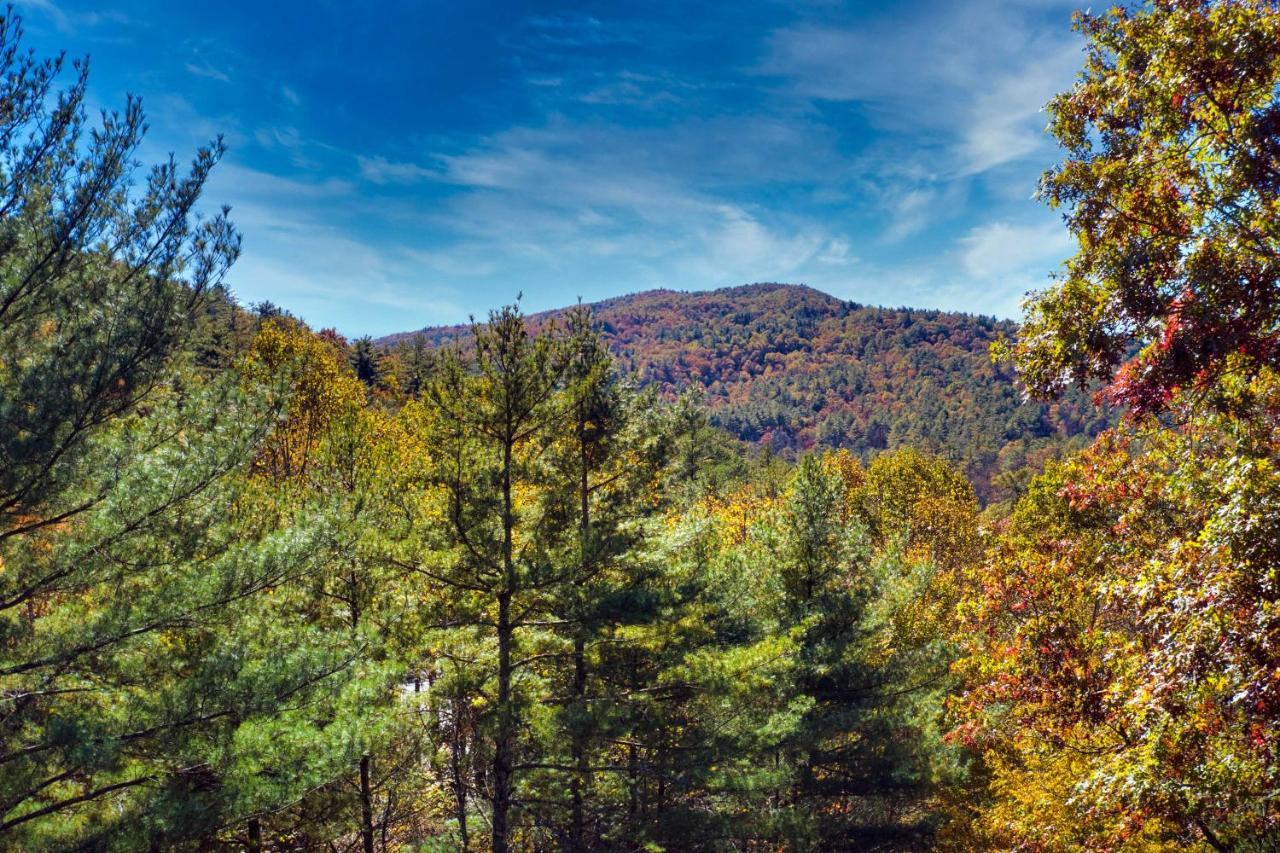 Heavenly Bearadise Cabin In Cashiers, Nc! Zewnętrze zdjęcie